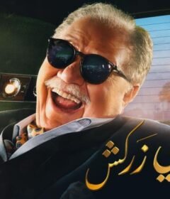 مسلسل نجيب زاهي زركش الحلقة 27 السابعة والعشرون