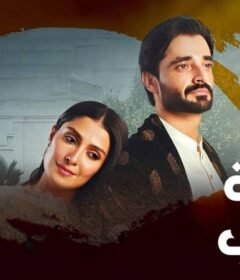 مسلسل رحلة الحب الحلقة 39 التاسعة والثلاثون مدبلجة