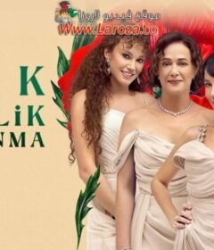 مسلسل حب زواج طلاق الحلقة 4 الرابعة والاخيرة مترجمة