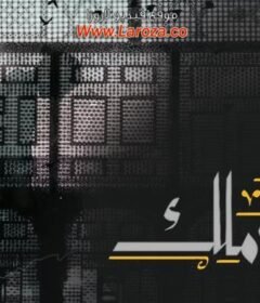 مسلسل من الحرملك الحلقة 10 العاشرة