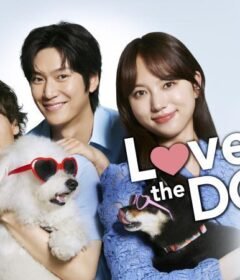 مسلسل Love is for the Dogs الحلقة 7 السابعة والاخيرة مترجمة