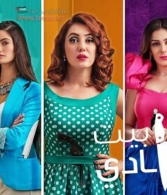 مسلسل ستات بيت المعادي الحلقة 6 السادسة