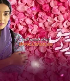 مسلسل طريق الورد الحلقة 3 الثالثة